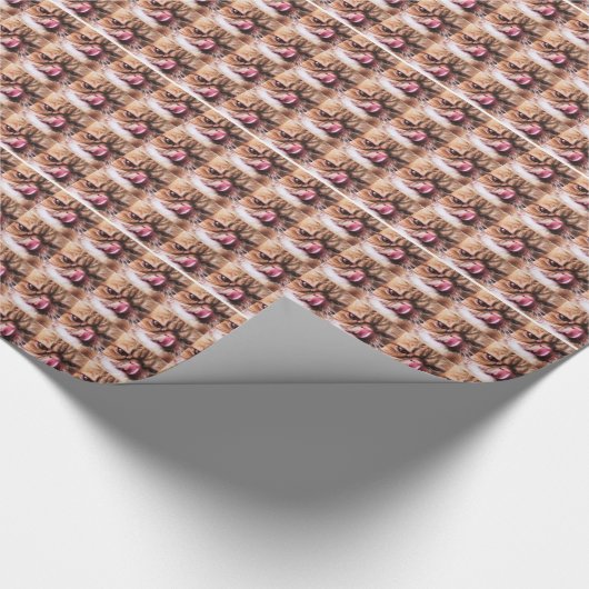 Papier Cadeau Enveloppe de fromage de cheddar (Coin)