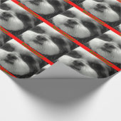 Papier Cadeau Enveloppe de Noël de tzu de Shih (Coin)