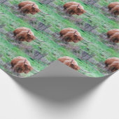 Papier Cadeau Enveloppe des montagnes de vache (Coin)