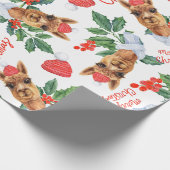 Papier Cadeau Enveloppement cadeau de vacances Noël Camel (Coin)