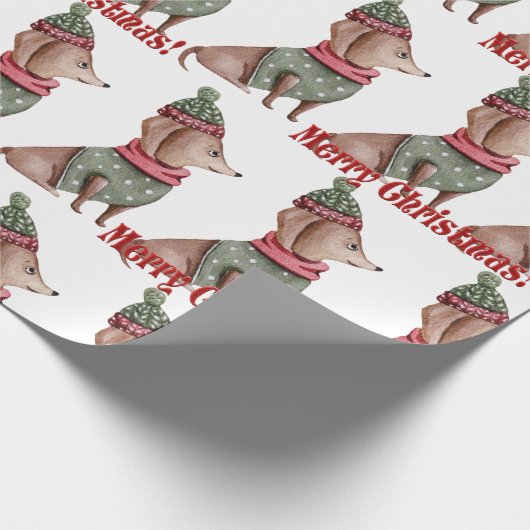 Papier Cadeau Enveloppement de Noël Casquette vert et Sweater Da (Coin)