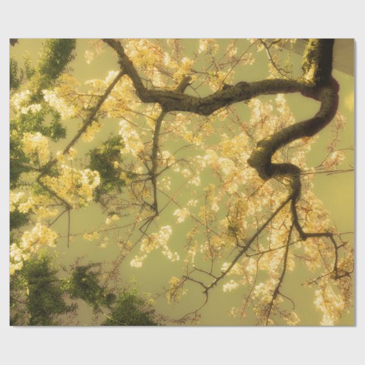 Papier Cadeau Envelopper Papier Rouleau Cerisier Fleur Branches (Plat)