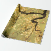 Papier Cadeau Envelopper Papier Rouleau Cerisier Fleur Branches  (Déroulé)