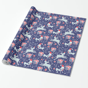 Papier Cadeau Enveloppes musicales ornithologie bleu rouge