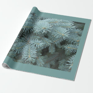 Papier Cadeau Épinette bleue nature rustique gris vert