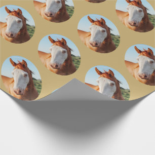 Papier Cadeau Équestre Votre Cheval Cadeau