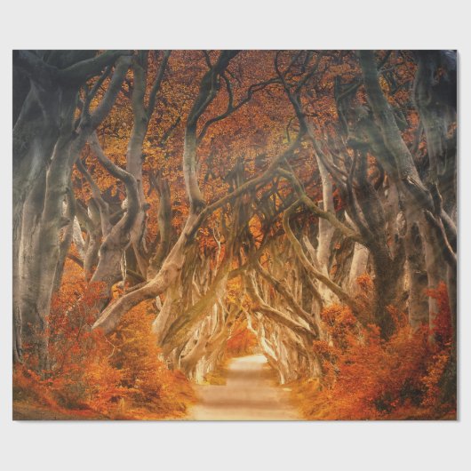 Papier Cadeau Érable d'automne forêt automne bois feuillage (Plat)