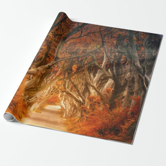 Papier Cadeau Érable d'automne forêt automne bois feuillage (Déroulé)