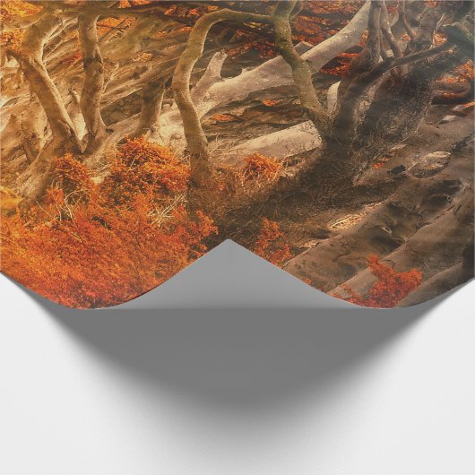 Papier Cadeau Érable d'automne forêt automne bois feuillage (Coin)