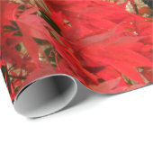 Papier Cadeau Érable japonais 'Bloodgood' / Chute rouge / (Coin rond)