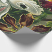 Papier Cadeau Ernst Haeckel Art Imprimer : Orchidae Oncidiums, t (Coin)