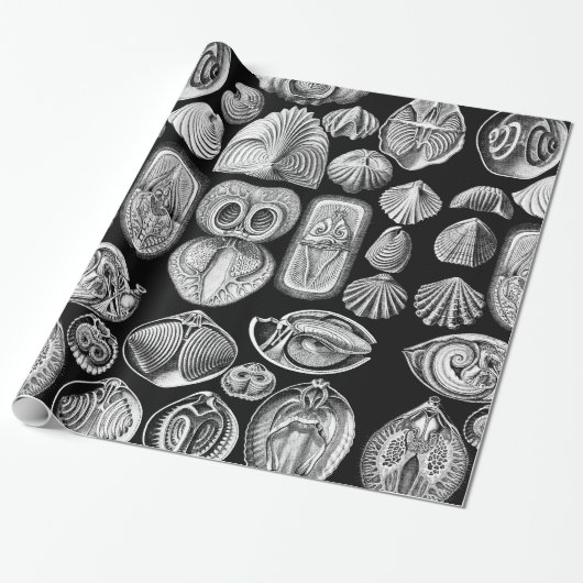 Papier Cadeau Ernst Haeckel Spirobranchia (Déroulé)