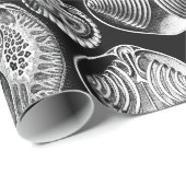 Papier Cadeau Ernst Haeckel Spirobranchia (Coin rond)