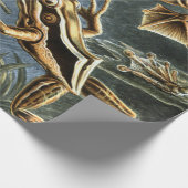 Papier Cadeau Ernst Haeckel variété de grenouilles exotiques : B (Coin)