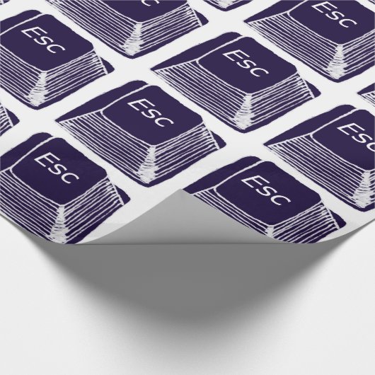 Papier Cadeau esc (Coin)