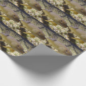 Papier Cadeau Esox lucius (Coin)
