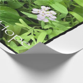 Papier Cadeau Espoir (Coin)