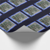 Papier Cadeau Et Une Porcupine Dans Un Pin Tree (Coin)