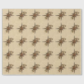 Papier Cadeau Étoile Compass Steampunk (Plat)