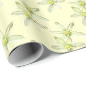 Papier Cadeau Étoile de Bethléem (Coin rond)