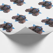 Papier Cadeau Étoile de David de Hanoukka - caniche - Bix (Coin)