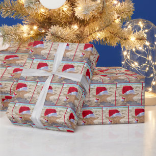 Papier Cadeau Étoile de mer de Noël dans le sable de la plage