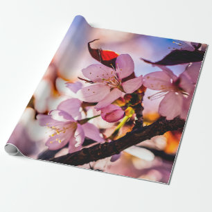 Papier Cadeau Étonnante floraison de Sakura