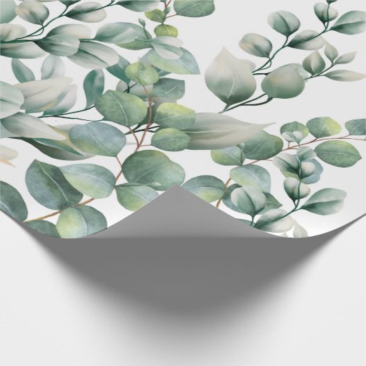 Papier Cadeau Eucalyptus vert (Coin)