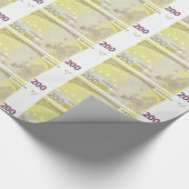 Papier Cadeau Euro papier d'emballage 200 (Coin)