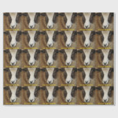 Papier Cadeau Ewe Allumer Ma Vie (Plat)