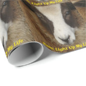 Papier Cadeau Ewe Allumer Ma Vie (Coin rond)