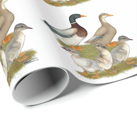 Papier Cadeau Famille de canards de Saxe (Coin rond)