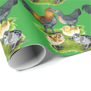 Papier Cadeau Famille de poulets Ameraucana
