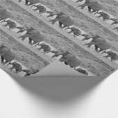 Papier Cadeau Famille des éléphants sud-africains (Coin)