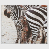 PAPIER CADEAU FAMILLE ZEBRA (Plat)