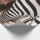 PAPIER CADEAU FAMILLE ZEBRA (Coin)