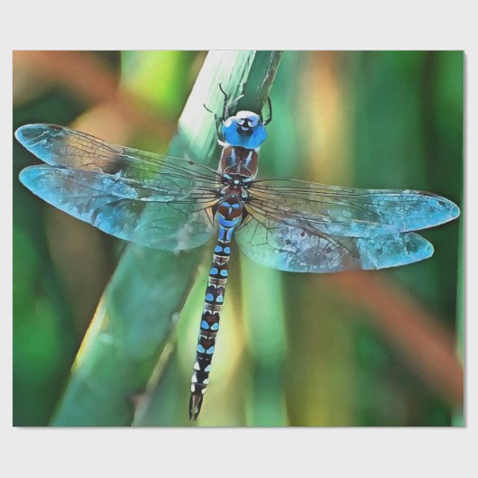 Papier Cadeau Fantasy Dragonfly (Plat)