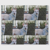 Papier Cadeau Fantôme (Plat)