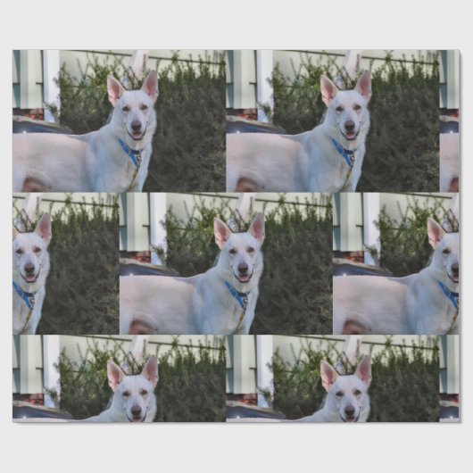 Papier Cadeau Fantôme (Plat)