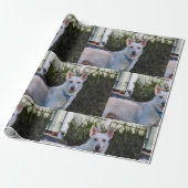 Papier Cadeau Fantôme (Déroulé)