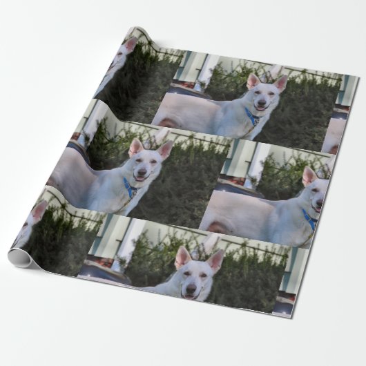 Papier Cadeau Fantôme (Déroulé)