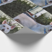 Papier Cadeau Fantôme (Coin)