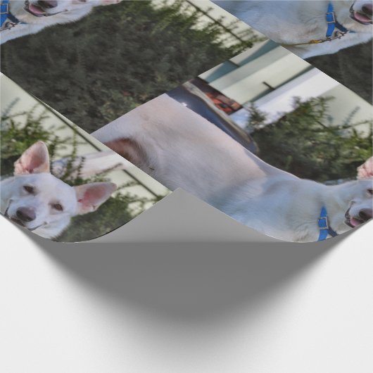 Papier Cadeau Fantôme (Coin)