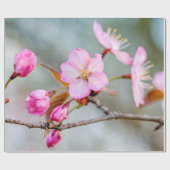 Papier Cadeau Fascination Des Fleurs Sakura (Plat)