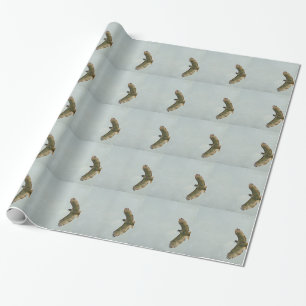 Papier Cadeau Faucon
