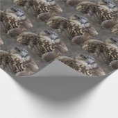 Papier Cadeau Faucon (Coin)