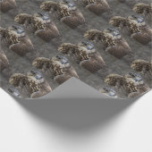 Papier Cadeau Faucon (Coin)