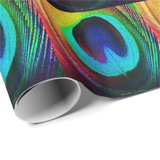 Papier Cadeau Feather (Coin rond)