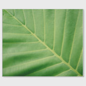 Papier Cadeau Fermer la photo de la feuille verte (Plat)