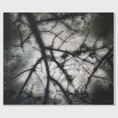 Papier Cadeau Fermeture (Plat)